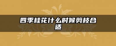 四季桂花什么时候剪枝合适 四季桂花何时修剪为宜