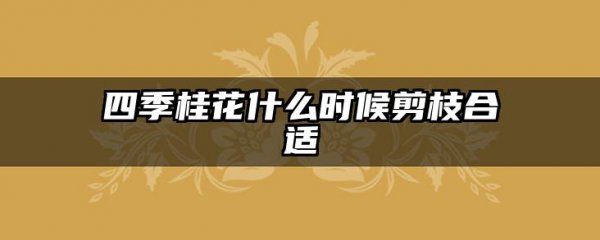 四季桂花什么时候剪枝合适