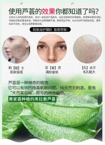 美容芦荟怎么养才能更旺盛 如何让芦荟生长更茂盛？