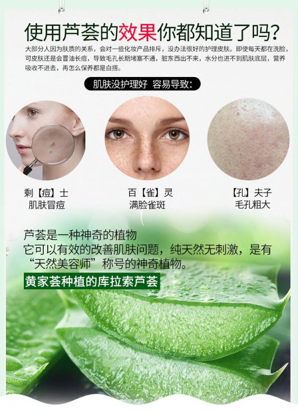 美容芦荟怎么养才能更旺盛