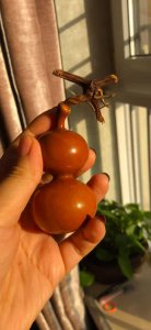 葫芦喜欢阳光吗 葫芦是否喜欢阳光？