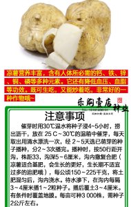 凉薯几月份种合适 凉薯适合什么时候种植？