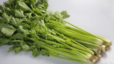 芹菜和香芹菜是一种菜吗 芹菜与香芹菜是否同种植物？