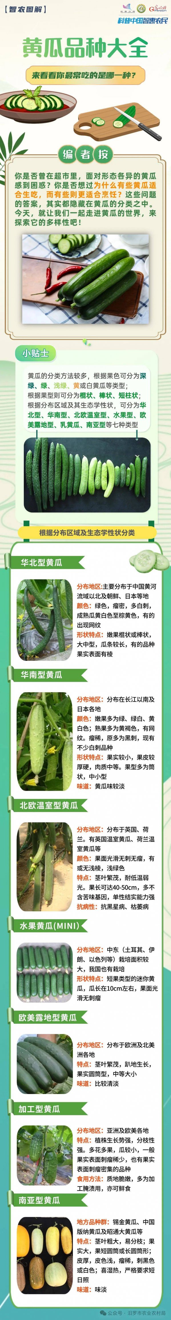 水果黄瓜几月份种合适