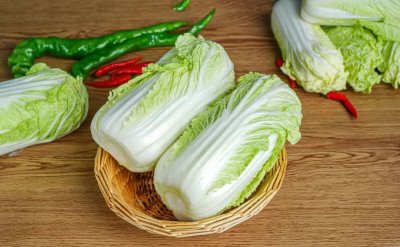 娃娃菜和白菜是一种菜吗 娃娃菜和白菜属于同一类蔬菜吗？