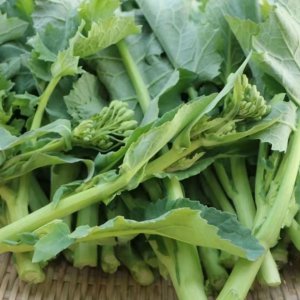 油菜和菜苔是一种菜吗 油菜和菜台属于同一种蔬菜吗？
