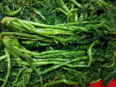酸菜和雪菜是一种菜吗 酸菜和雪菜是同类食材吗？