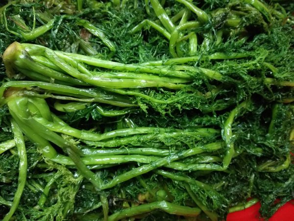 酸菜和雪菜是一种菜吗