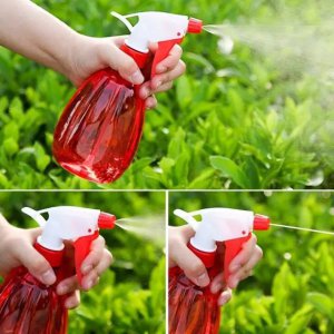 清衣服的水可以浇花吗 用洗衣水浇花可以吗？