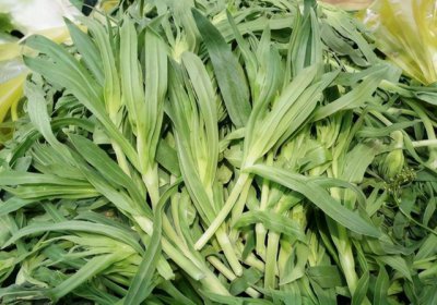 黃土适合种什么菜 黄土适宜生长哪些蔬菜？