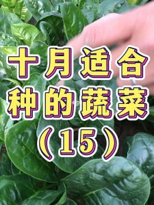 年后适合种什么菜 什么蔬菜适合春季种植