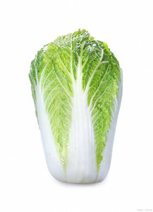 北方适合种什么菜 北方适宜种植哪些蔬菜？