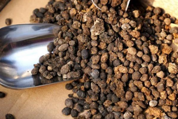 狗屎可以直接做花肥吗