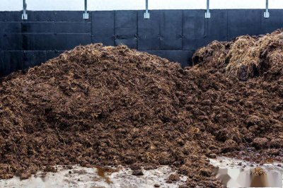 茶叶怎么沤肥 用茶叶怎么浸泡肥料
茶叶如何浸泡肥料