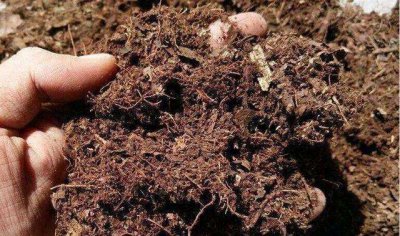 中药渣可以做花肥吗 中药渣可否作为植物肥料使用？