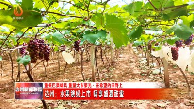 达州适合种植什么水果 在达州适宜栽培哪些水果？