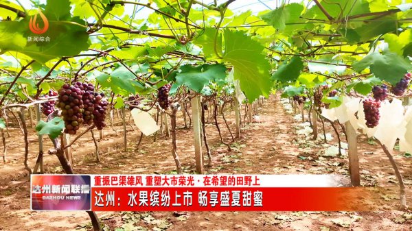 达州适合种植什么水果