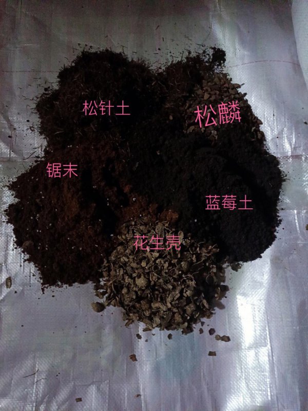 蓝莓怎么配土