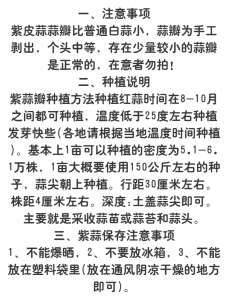 大蒜是喜阳还是喜阴 大蒜喜好光照条件是阳光还是阴影？