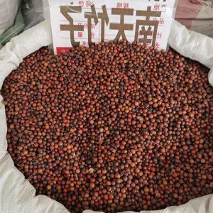 南天竹种子多久发芽 南天竹种子发芽需要多久时间？