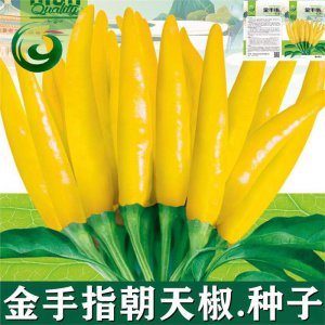 朝天椒种子多久发芽 朝天椒种子发芽需要多长时间？