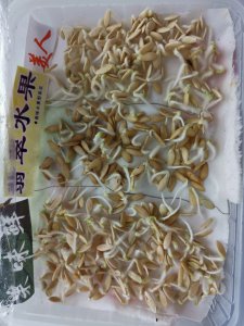 黄瓜种子多久发芽 黄瓜种子发芽需要多长时间？
