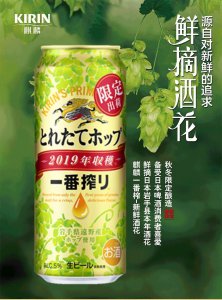 麒麟花可以浇啤酒吗 麒麟花适合浇灌啤酒吗？