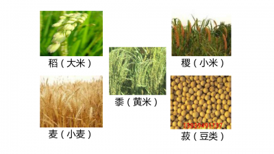 粮食是经济作物吗 粮食是否属于经济作物？