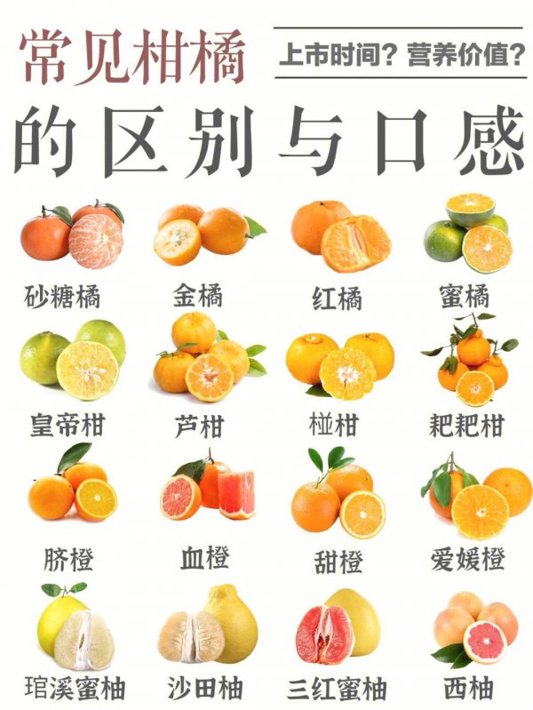柑橘是经济作物吗