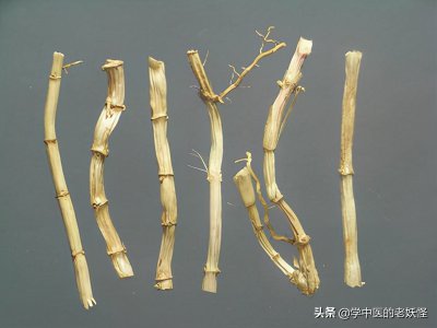 白茅根什么时候挖最好 最佳挖白茅根时间是什么时候？