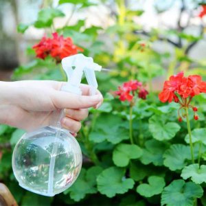 冷开水可以浇花吗 可以用冷水给花浇水吗？