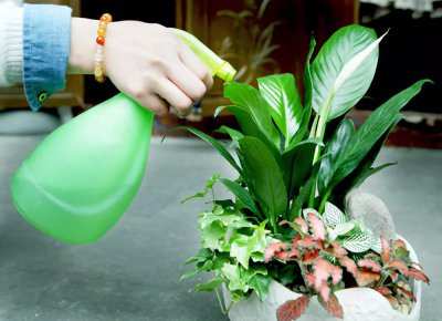 软水可以浇花吗 软水适合浇花吗？