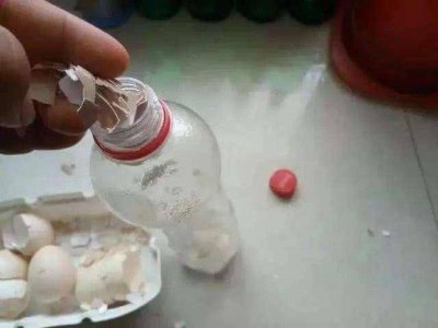 生鸡蛋能浇花吗 鸡蛋可以用来浇花吗？