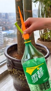 碳酸饮料能浇花吗 能用碳酸饮料来浇花吗？