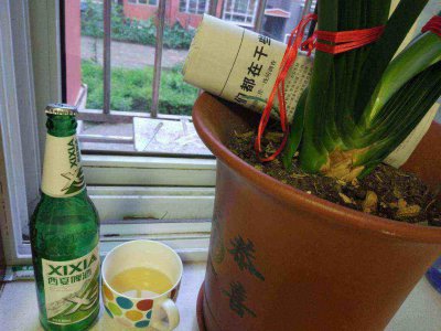 喝剩的啤酒能浇花吗 啤酒剩余的可以用来浇花吗？