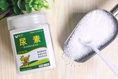 尿素能浇花吗 尿素可用于浇花吗？