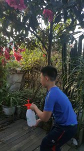 尿能浇花吗 能用尿浇花吗？

尿液可用于浇花吗？
