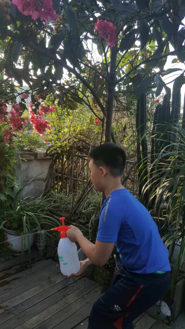 尿能浇花吗