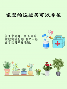 过期的药能浇花吗 过期药是否适合浇花？