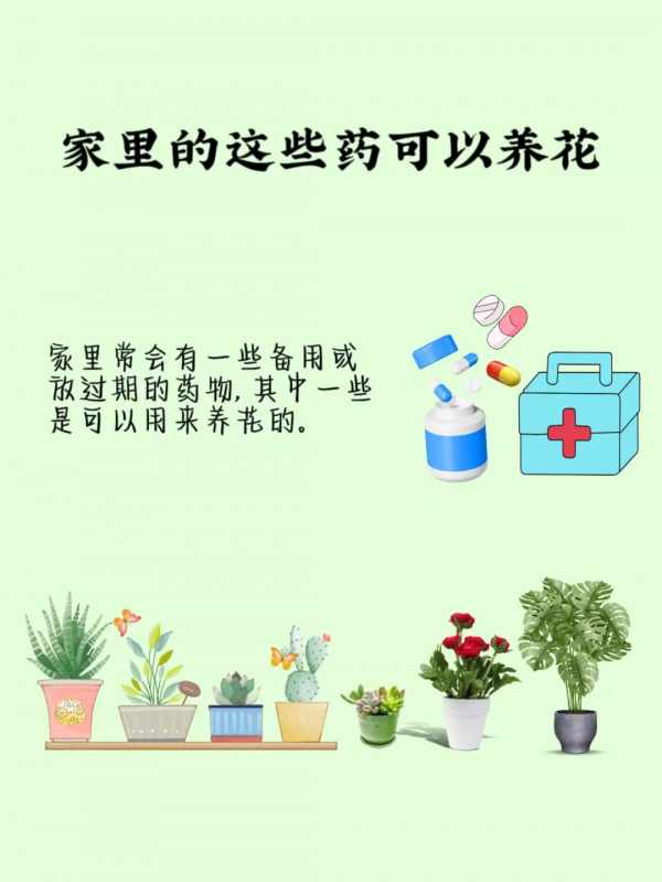 过期的药能浇花吗