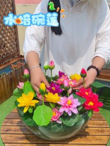 多菌灵可以浇碗莲吗 多菌灵适合喷洒在碗莲上吗？