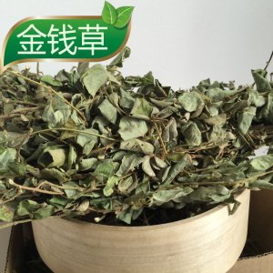 茶叶水可以浇金钱草吗 茶水适合金钱草浇灌吗？