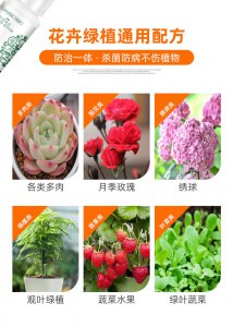 多菌灵可以浇玫瑰花吗 多菌灵适合用于玫瑰花吗？