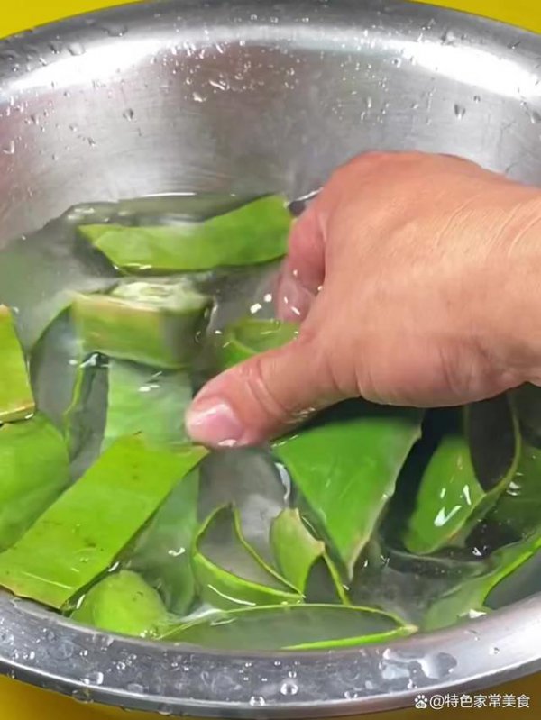 白酒可以浇芦荟吗