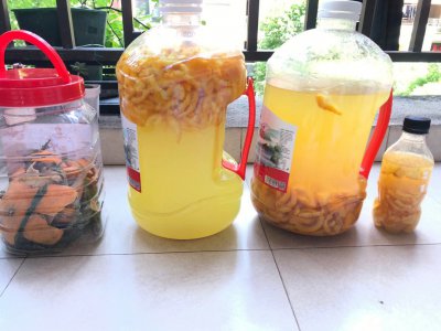 水果酵素能浇花吗 水果酵素可否用来浇水？