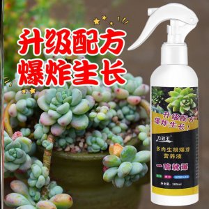 复合肥可以浇多肉吗 多肉植物可以使用复合肥吗？