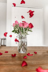 玫瑰花可以用水养吗 玫瑰花适合水养吗？