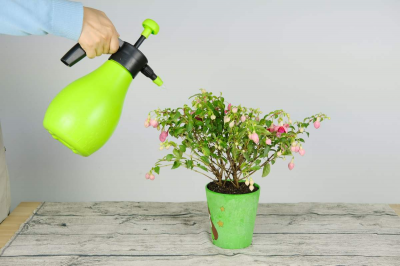 盐汽水可以浇花吗 盐水可以用来浇花吗？