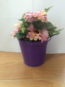铁桶适合养什么花 适合种植哪些花草的铁桶