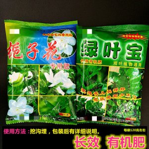 栀子花花肥用什么合适 选择合适的肥料施用栀子花